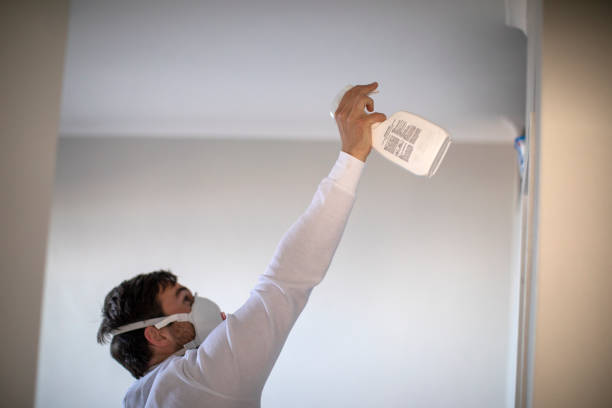 Best Local Mold Removal Service  in Battle Creek, NE